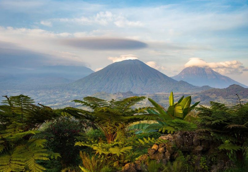 Volcanoes National Park, Musanze, Northern Province, Rwanda